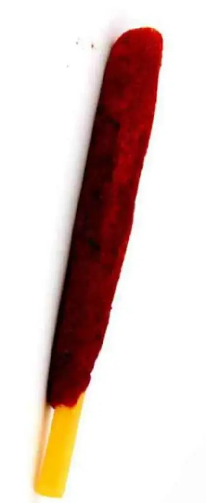 Banderin de Tamarindo